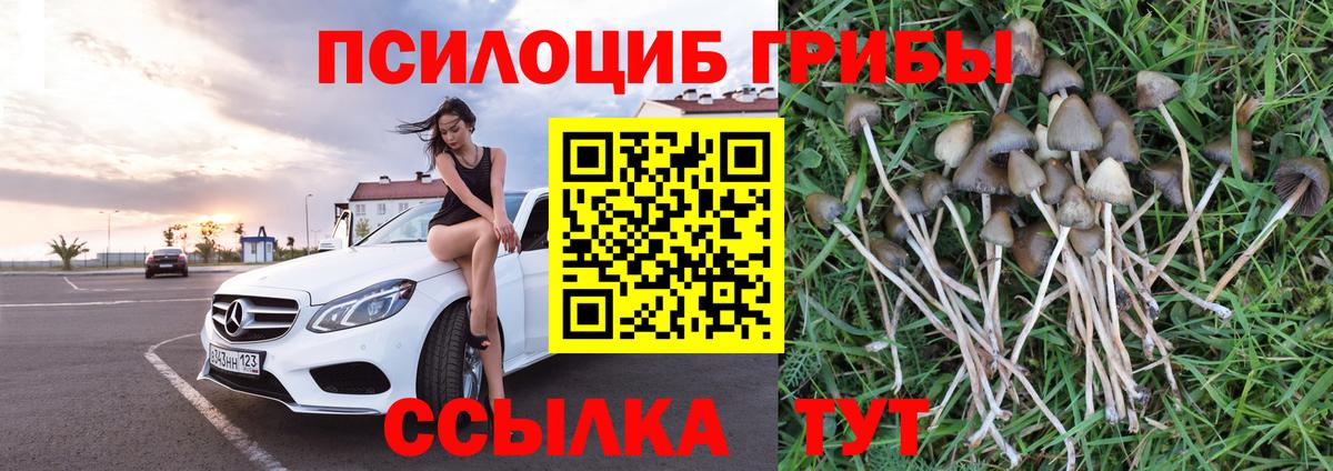 Галлюциногенные грибы Cubensis  Вход с VPN  Псилоцибиновые грибы Psilocybe  Холмск 